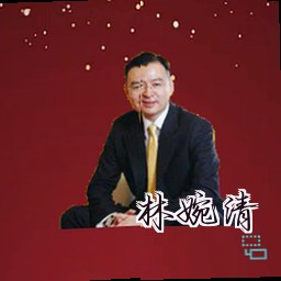 林婉清